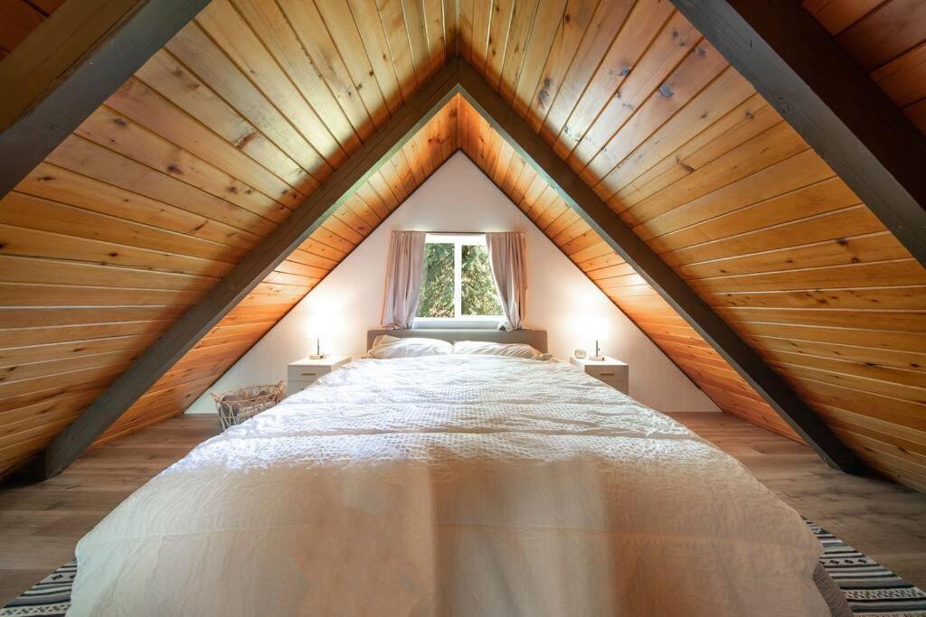 R & R Chalet At Mt. Rainier Ashford Eksteriør billede